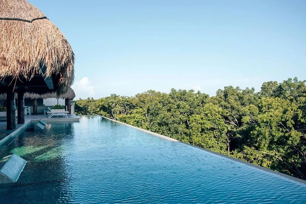 Jungle View 1 Br. Apt. With Great Infinity Pool トゥルム アパート